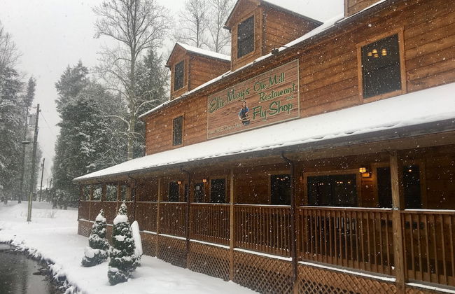 Elk Springs Resort - Foto 3