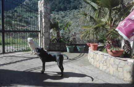 Casa Siciliana Altarbiah - Foto 39