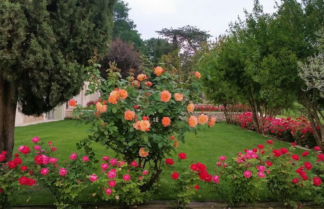 Agriturismo Relais Maddalene101 - Photo 44