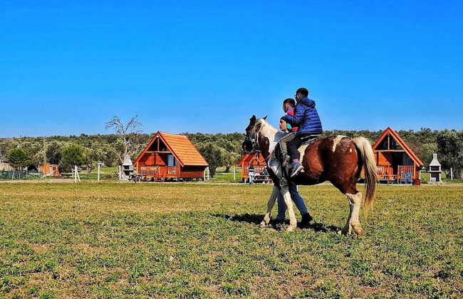 Ayvalık Sural Çiftliği Since 1899 - Foto 13