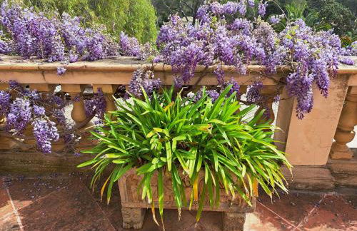 Casa de las Vistas - Photo 58