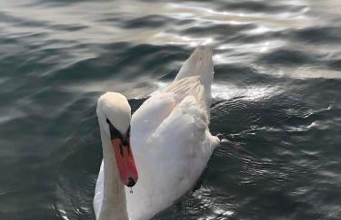 Casa Camilla - Foto 47