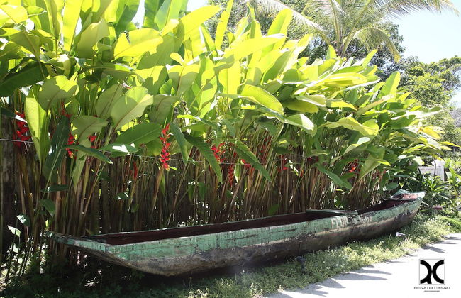 Vila Perainda - Photo 34