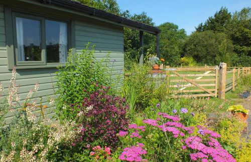 The Potting Shed And The Garden Shed Self Catering - Photo 23