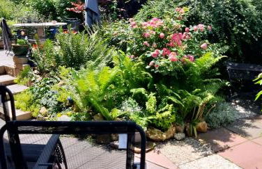 Haus Harzer Bergblick all inklusiv Sauna Whirlpool - Foto 41