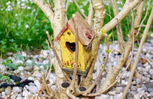 Residence Stradella Verde - Photo 60