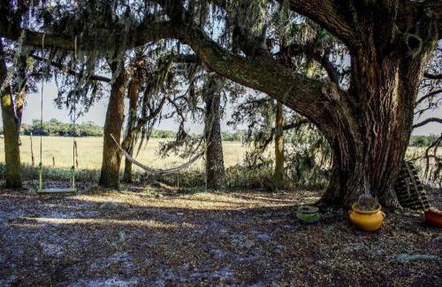 A Secluded Quiet Oasis with Beach Pass - Foto 23