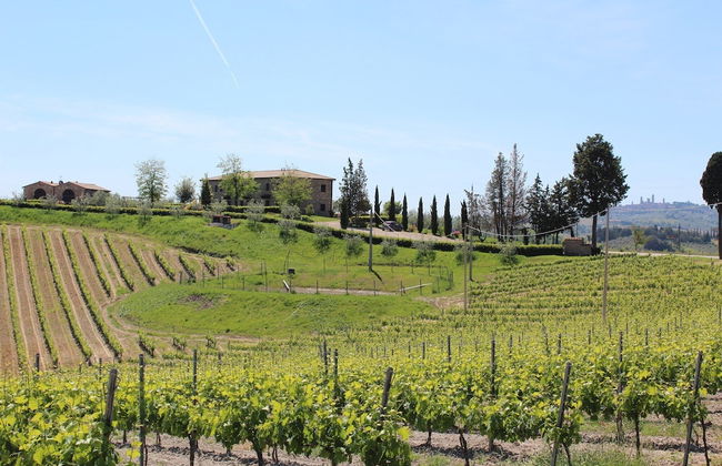 Agriturismo Macinatico 1 - Photo 45