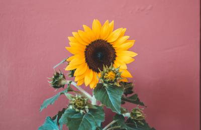 Origeo casa - Foto 40