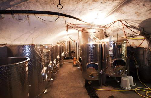 Weingut Geiger - Foto 7