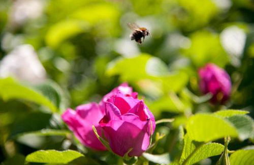 Eifel Relax - Foto 12