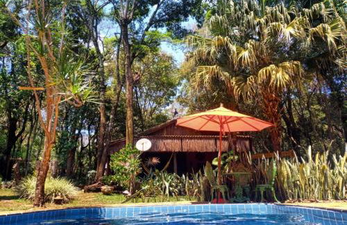 Chalé Cores da Mata - Foto 55