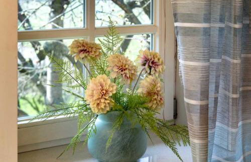 Ferienwohnungen von Schassen - Photo 51