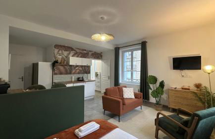 Le Petit Oasis - 50m de la gare de Nevers - Foto 8