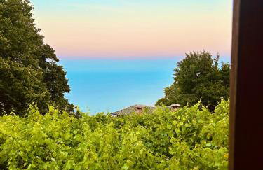 Erato's Nest - Pelion - Photo 34
