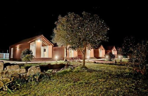 Finca O Loureiro - Foto 61