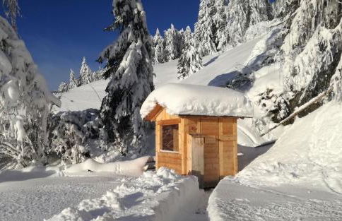 Chalet Panorama Himmelreichhof - Foto 19