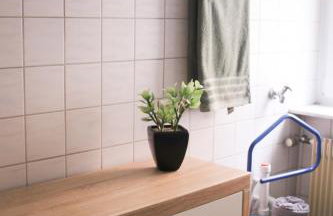 Ferienwohnung Talblick - Foto 8