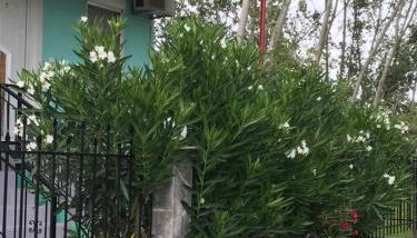 Maria Rooms Vrasna - Foto 2