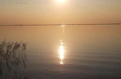 Achterwasser Blick - Foto 28