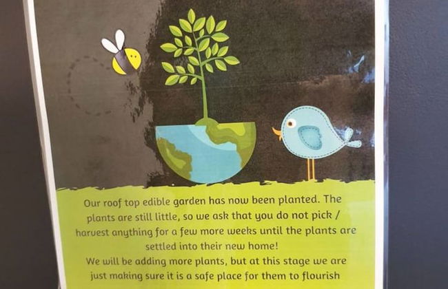 2BR Food Drink Hub Gym Pool Views Roof Terrace - Foto 21