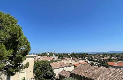 Domaine RABOLY - Beaumes de Venise - Foto 38