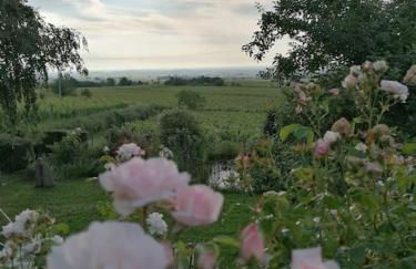 Traumblick Rebenmeer - Foto 28