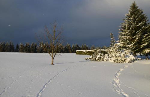 Ferienhaus zur Glocke - Foto 46