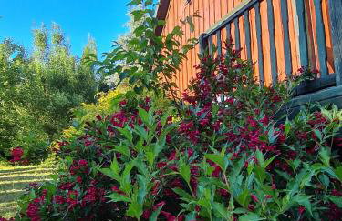 Dom w Tumianach - Foto 20