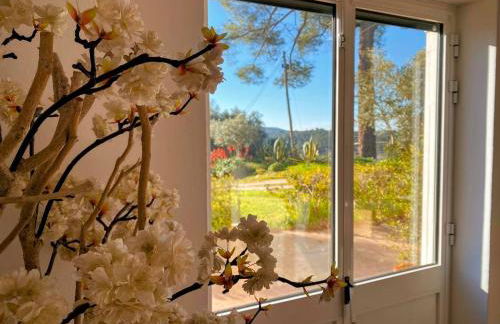 Quinta Vale da Paz - Foto 20