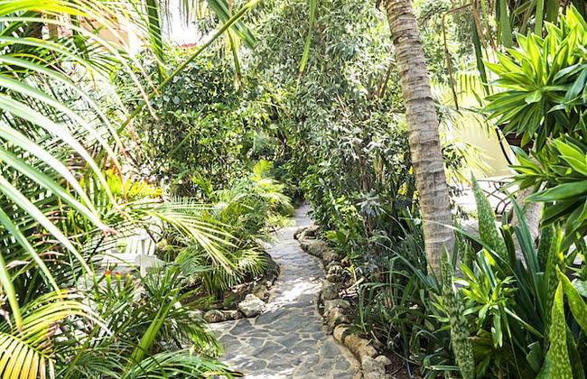 Pietermaai Caribbean Vibes - Foto 22