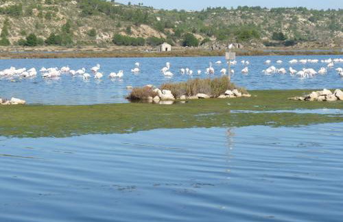 appartement de la callade - Foto 17