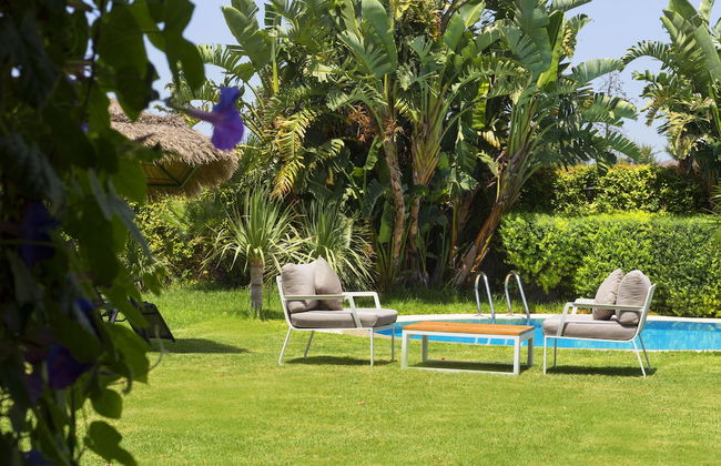 Dar Ichkeul - Foto 28