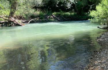 La casa del Pino Argentato - Foto 28