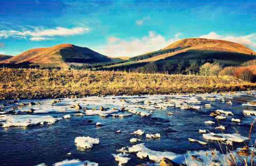 Corlae Cottage, mountain and forest views - Foto 40