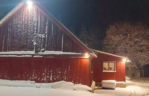 Przystań Osiek Chata Kociewska - Foto 16