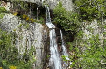 Maison hortensia - Foto 24