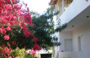 Sani Kasimis - Foto 27