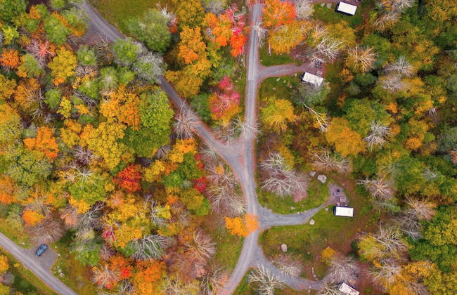 Postcard Cabins Western Catskills, Outdoor Collection by Marriott Bonvoy - Foto 5