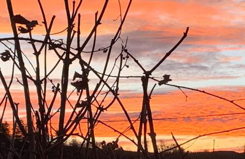 Fontanies en Aubrac - Photo 16