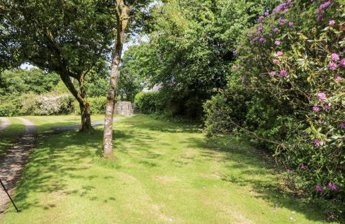 Plas Pontfaen - Foto 38