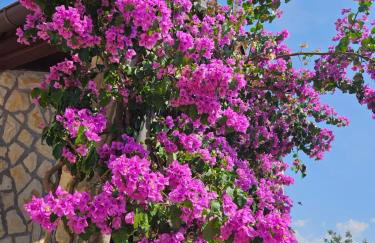 Apartments with sea view - Foto 46