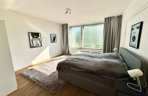 Spectecular Rhineview Fair Parking Luxury 12 Pers - Foto 11