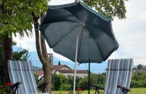 Colori nel parco - Foto 6