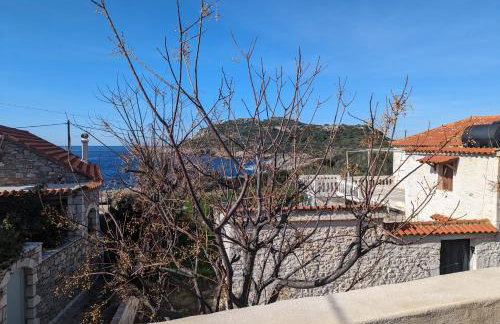 kipaki-trachila Mani - Foto 38