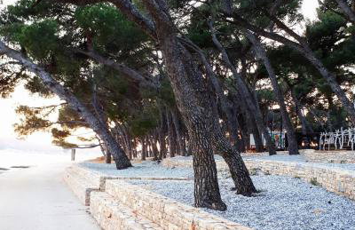 Breitling Apartments with Pool - Foto 27