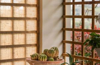 I Casciani - Foto 79