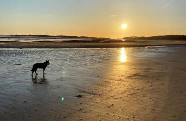 Pen llyn holiday cottages and caravan - Foto 10