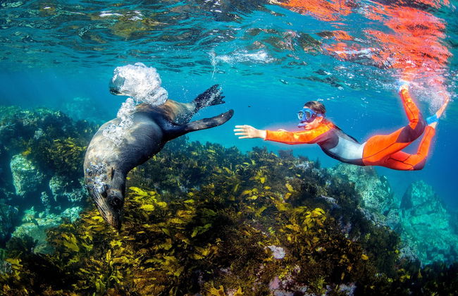 BIG4 Narooma Easts Holiday Park - Foto 65