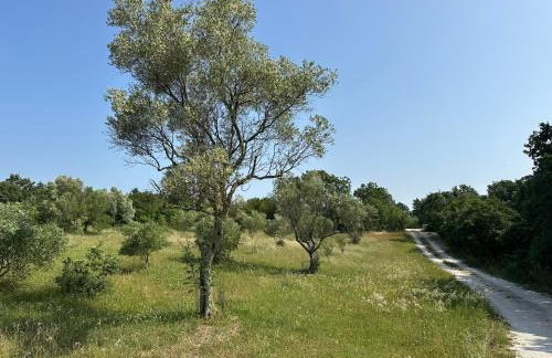 Private 9000qm Estate Villa with Pool and Yacuzzi and Sauna absolute Privacy near Fazana - Foto 71